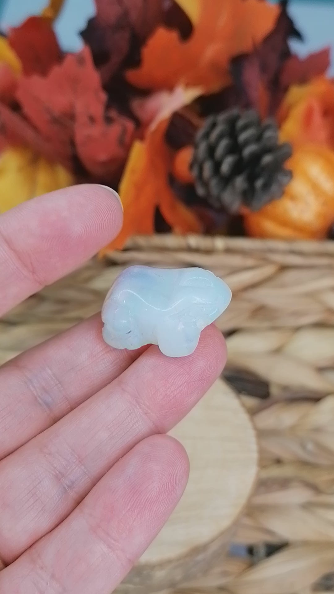 opalite frog