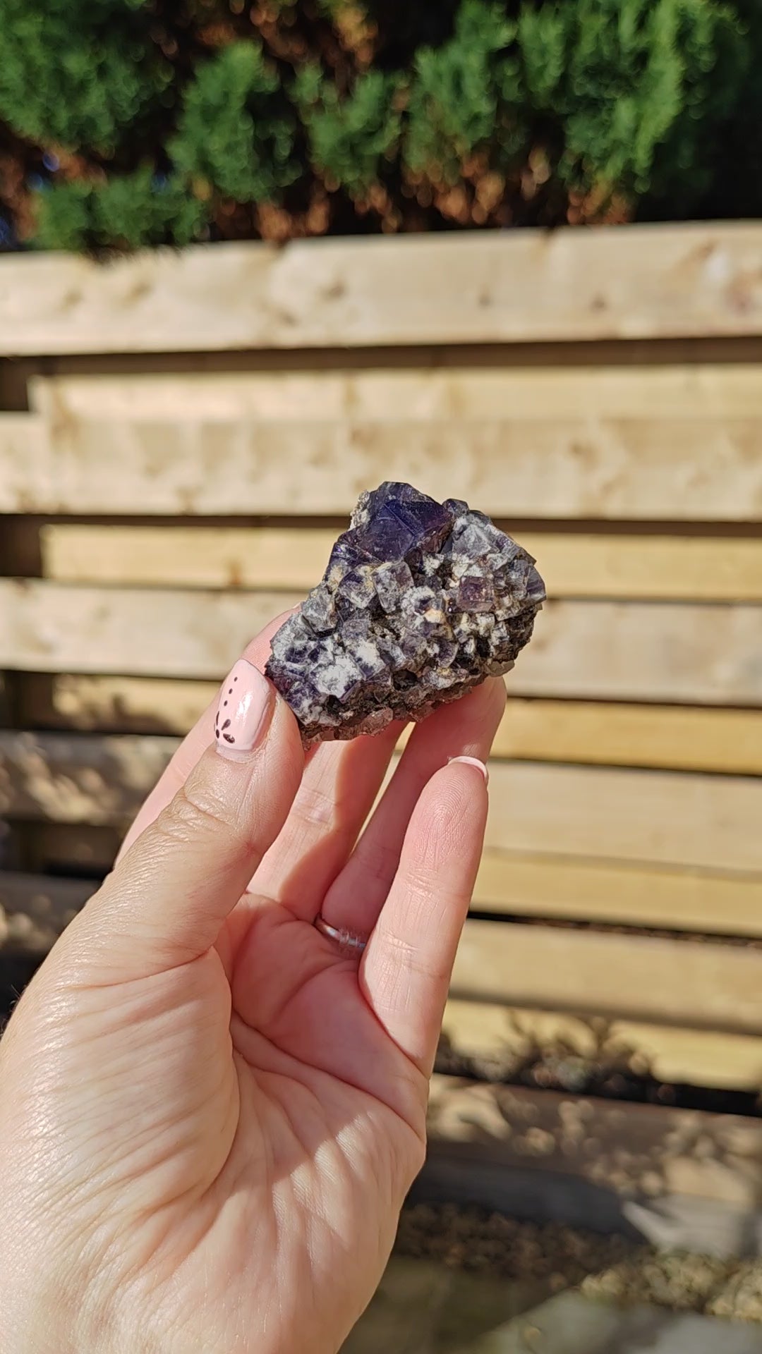 Yum Yum Pocket Fluorite Option O