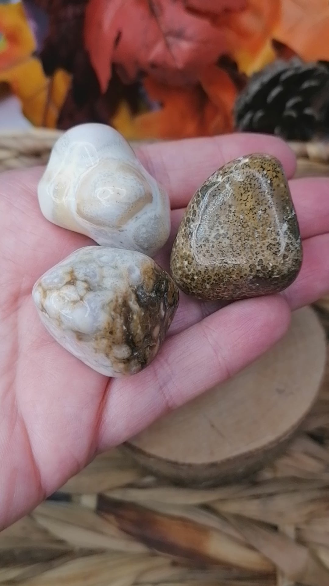 Spotted Agate Crystal Tumblestone