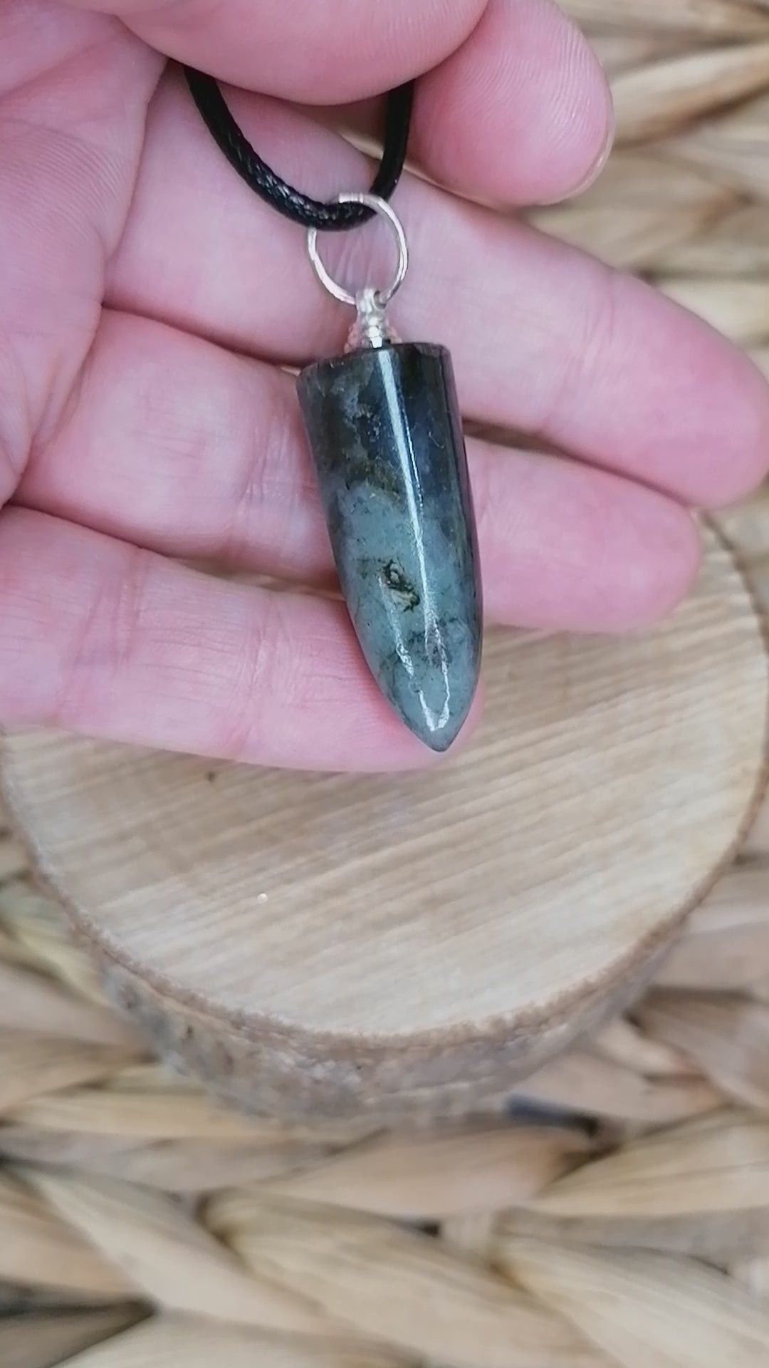 Labradorite Crystal Bullet Point Necklace