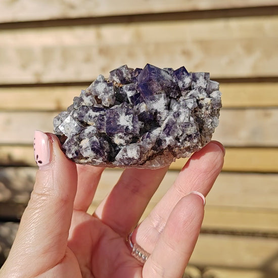 Yum Yum Pocket Fluorite Option L