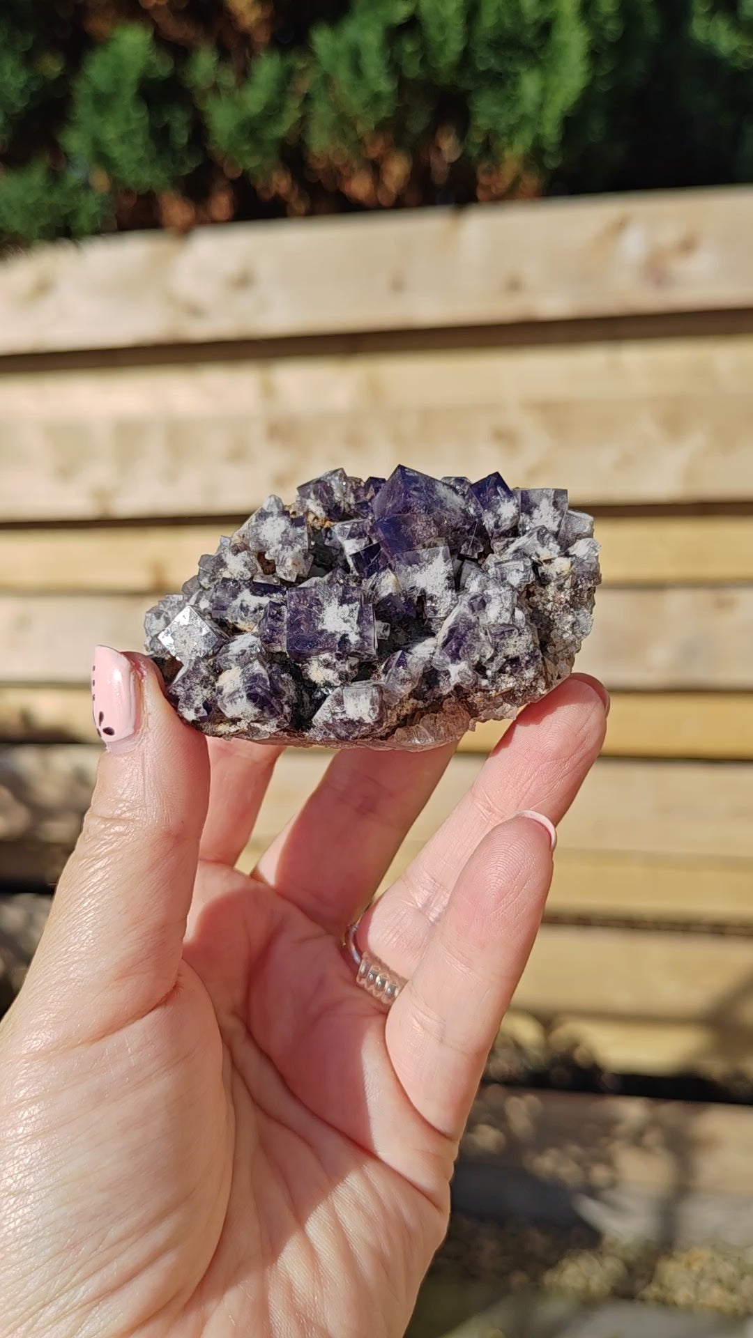 Yum Yum Pocket Fluorite Option L