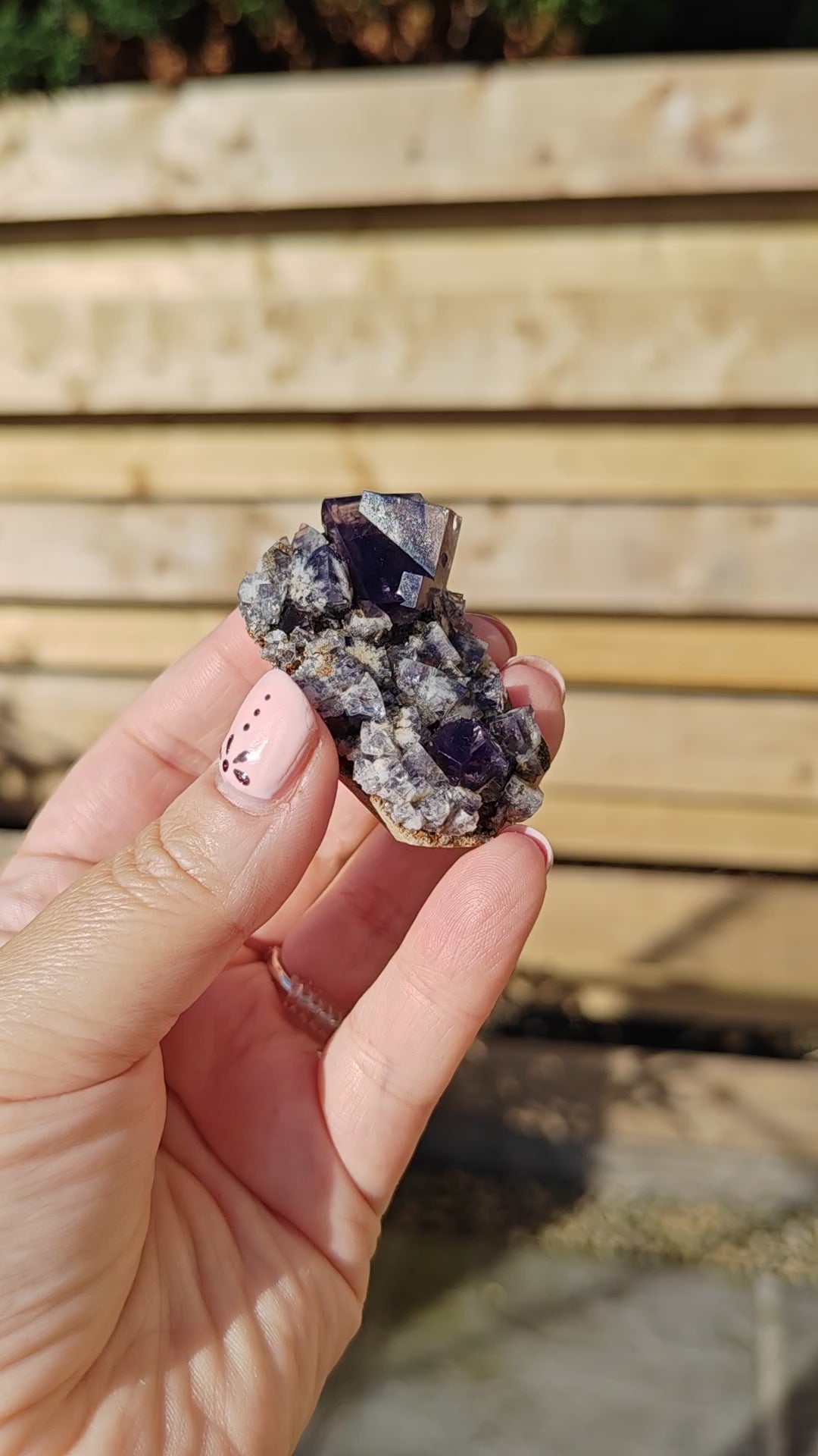Yum Yum Pocket Fluorite Option E