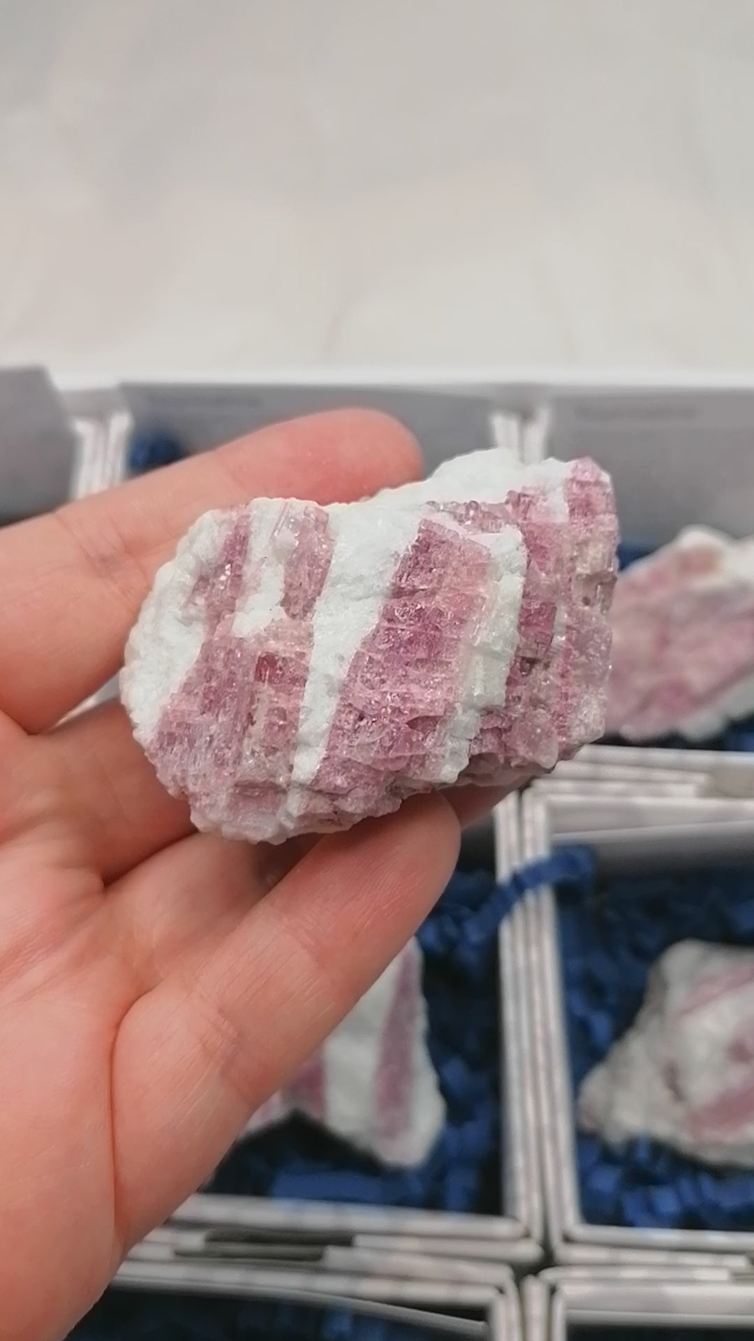 video of a piece of raw pink tourmaline set in white quartz