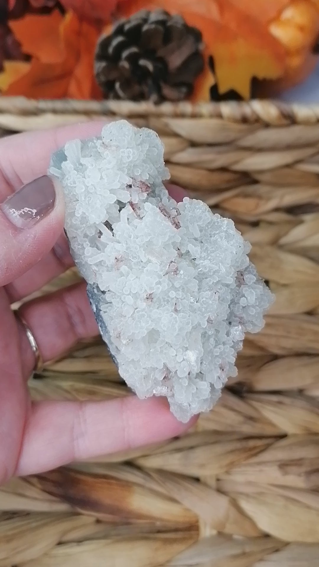 Zeolite Cluster