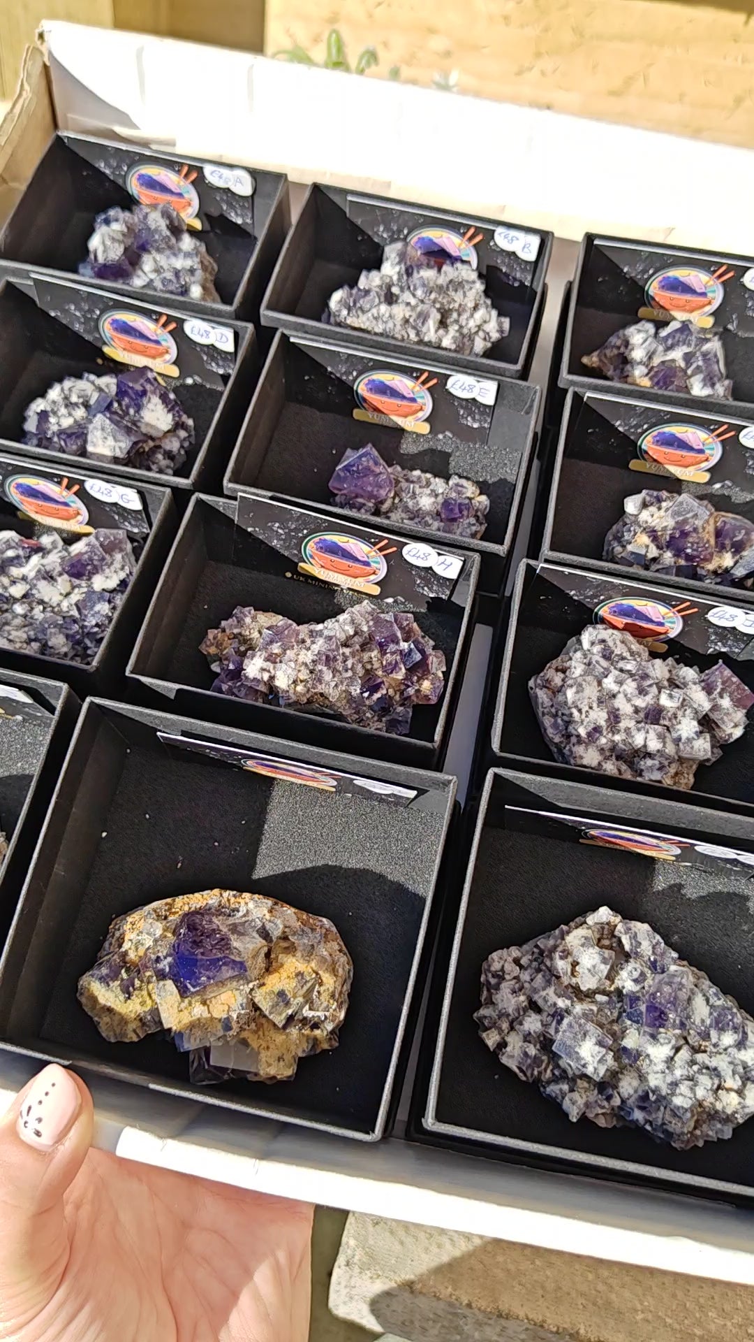 UK Fluorite Specimens Yum Yum Pocket