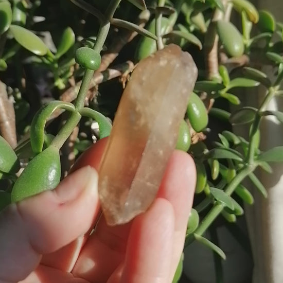 Natural Citrine Point Option F