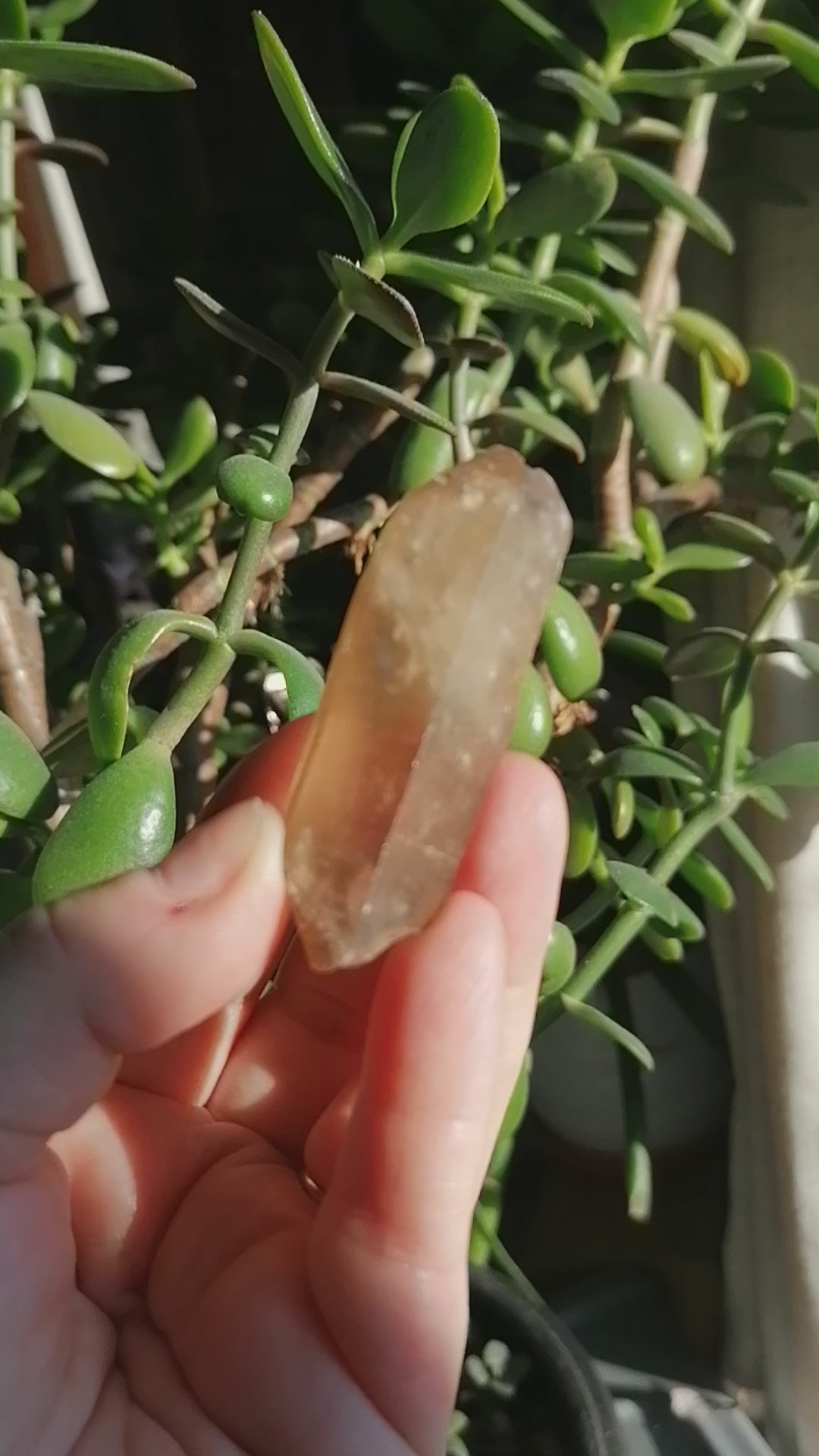 Natural Citrine Point Option F