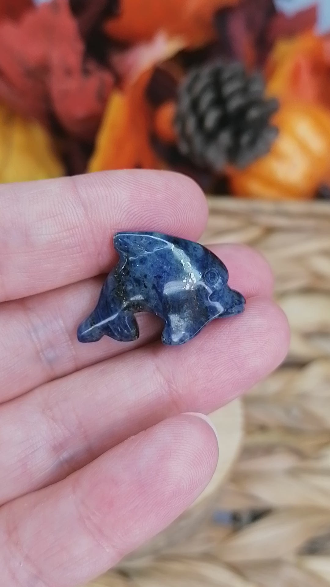 sodalite dolphin