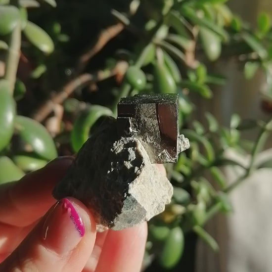 cubic pyrite from spain on matrix