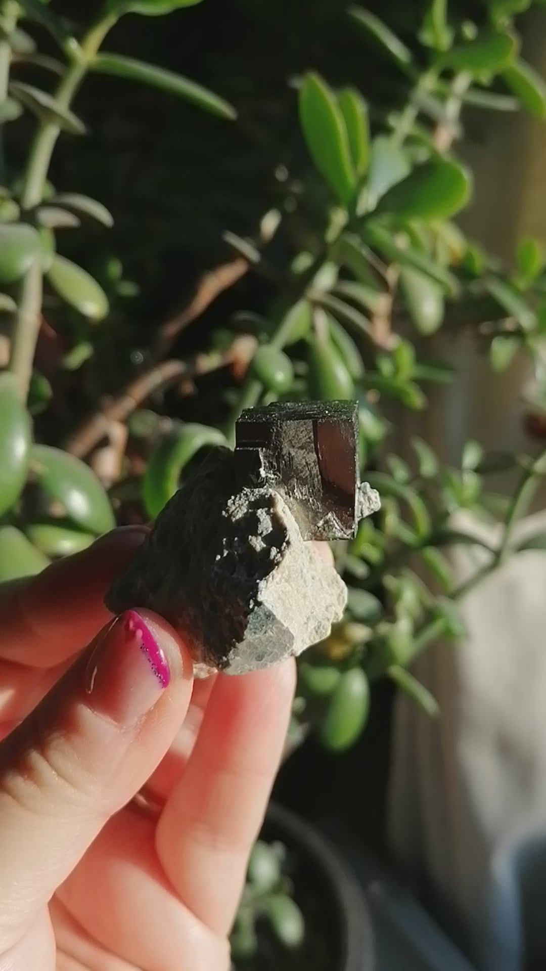 cubic pyrite from spain on matrix