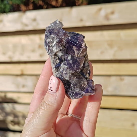 Yum Yum Pocket Fluorite Option S