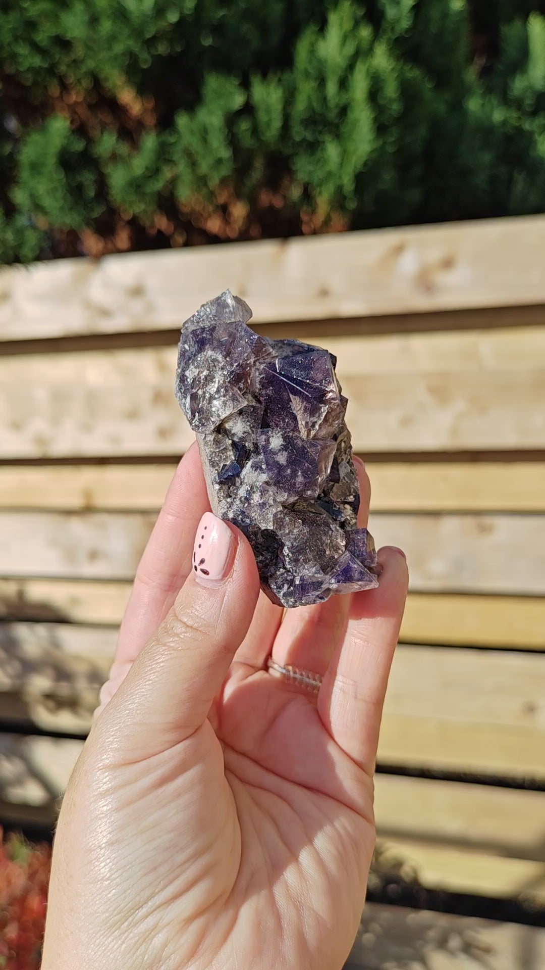 Yum Yum Pocket Fluorite Option S