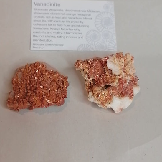 a short video bright orange square crystals on a cream rock formation, vanadinite crystal specimen