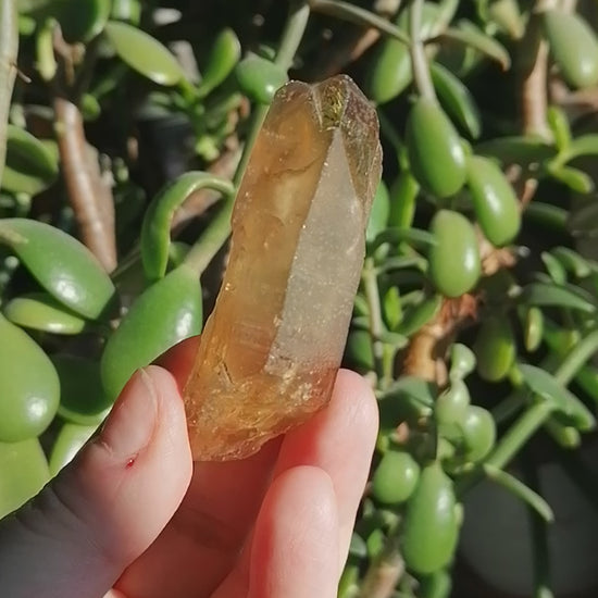 Natural Citrine Point Option E