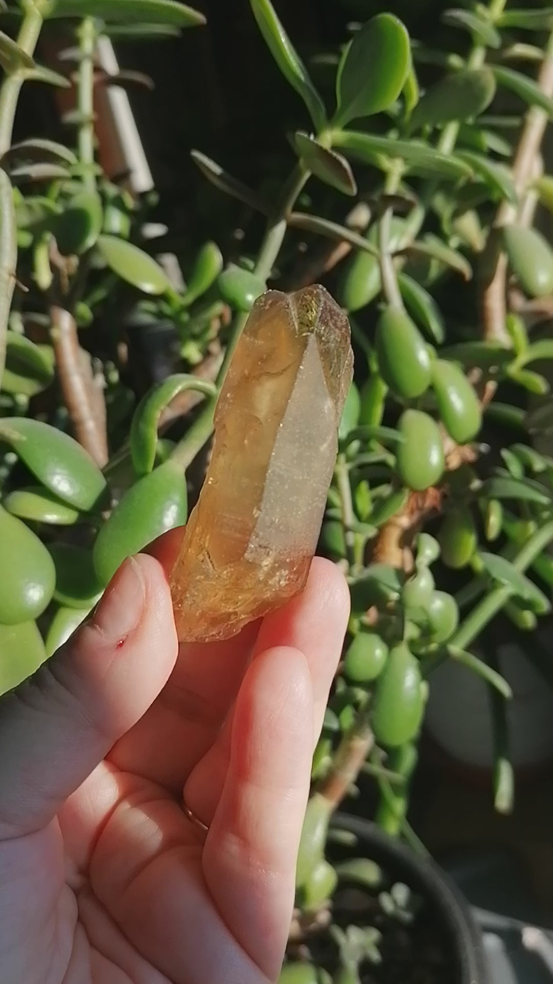 Natural Citrine Point Option E