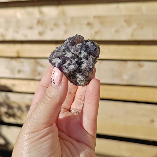 Yum Yum Pocket Fluorite Option R