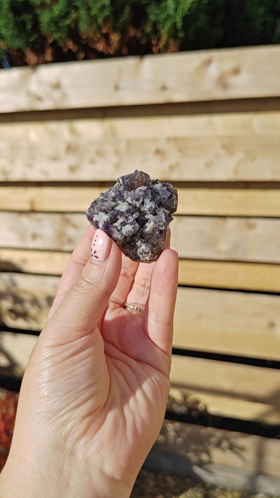 Yum Yum Pocket Fluorite Option R