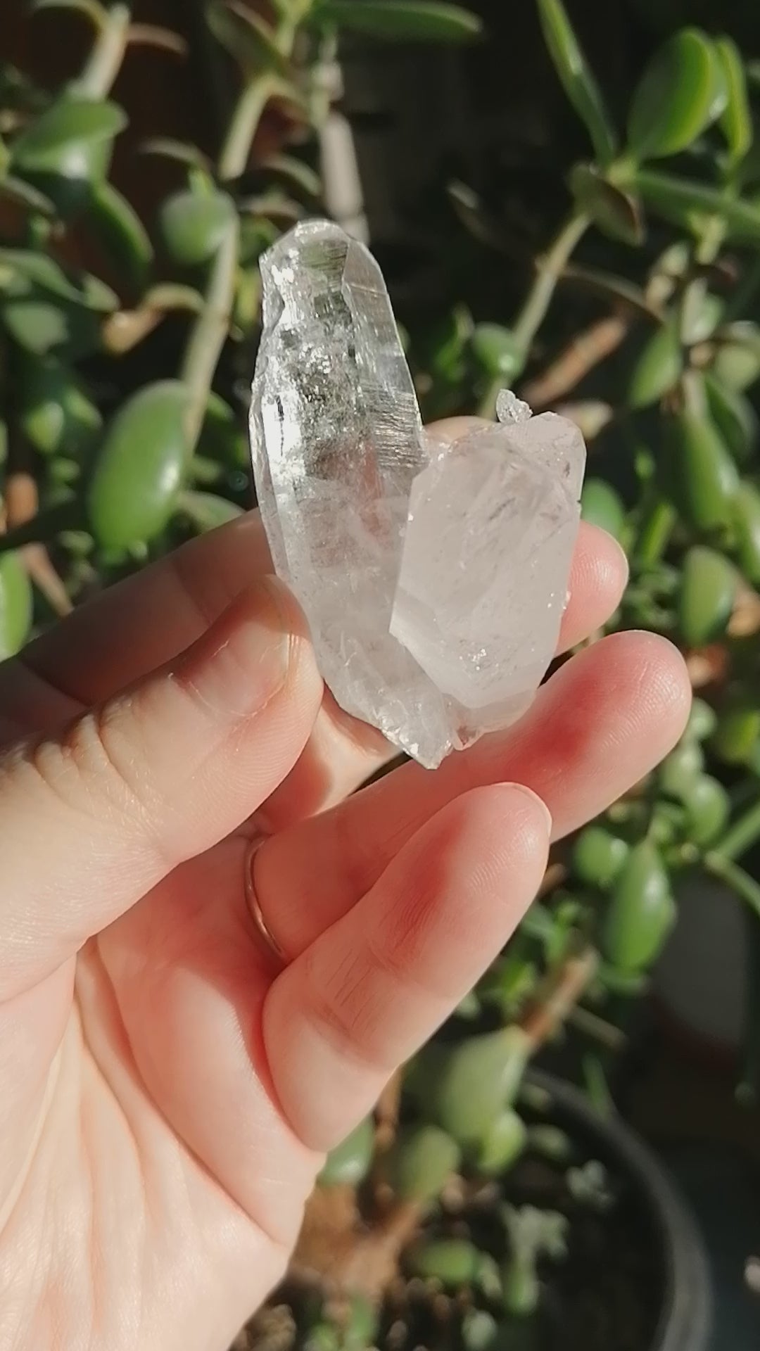 Colombian Pink Lemurian Quartz