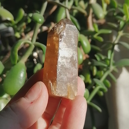 Natural Citrine Point option C