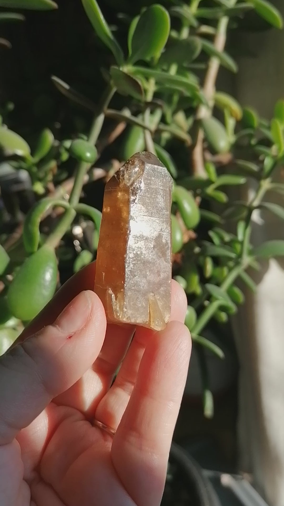 Natural Citrine Point option C