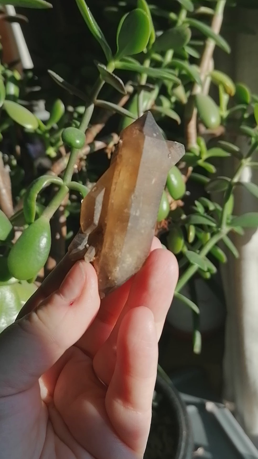 Natural Citrine Point Option D