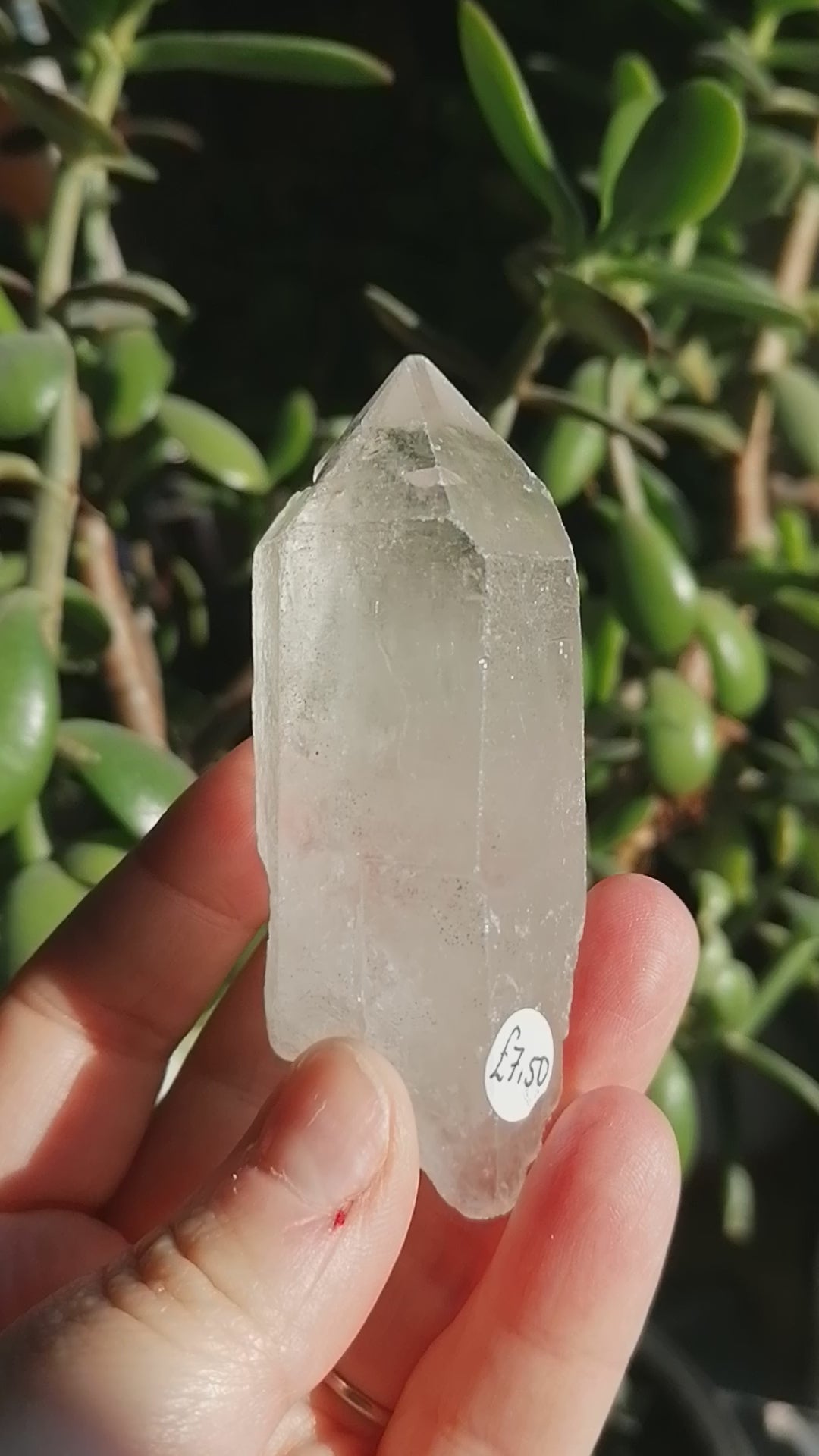 clear quartz natural point