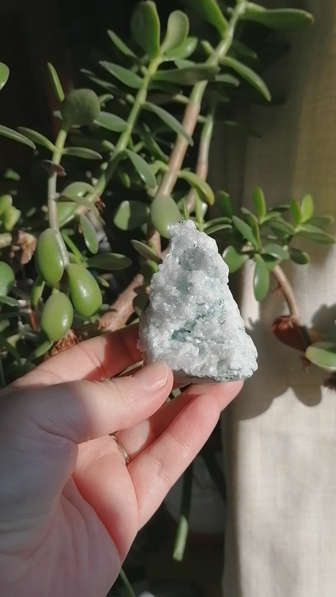 light blue aura quartz cluster