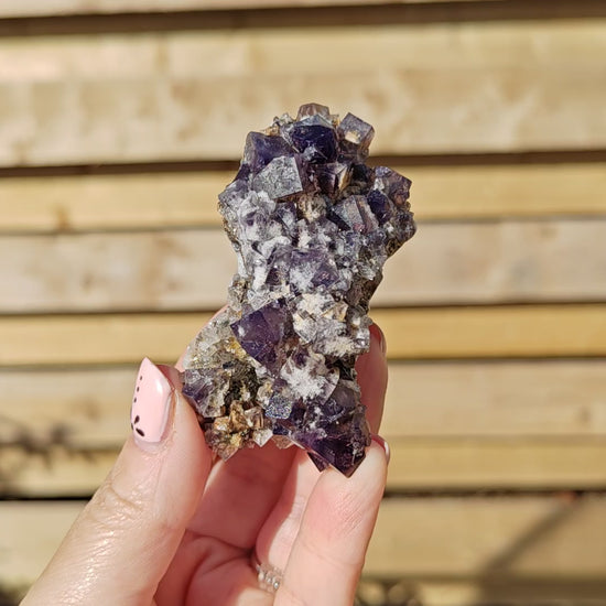 Yum Yum Pocket Fluorite Option H