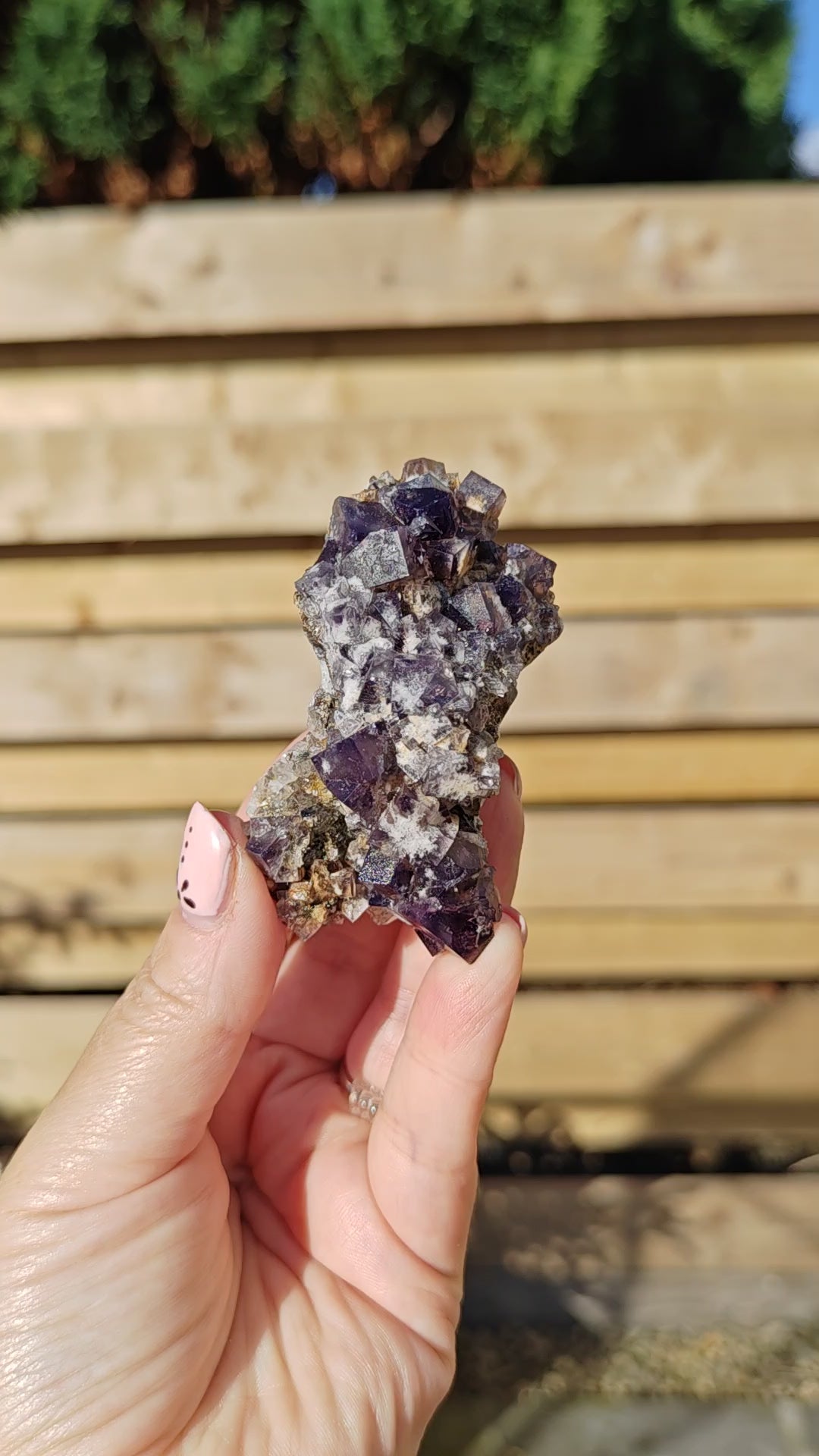 Yum Yum Pocket Fluorite Option H