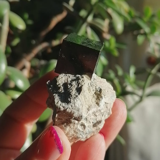 pyrite cube on matrix from spain