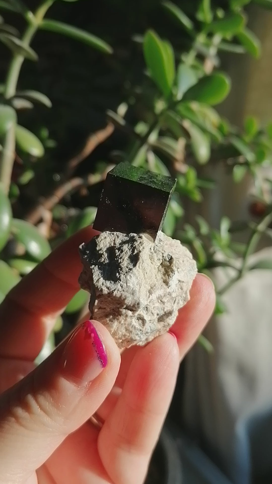 pyrite cube on matrix from spain