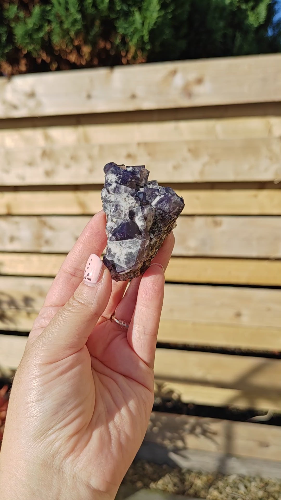 Yum Yum pocket Fluorite Option Q