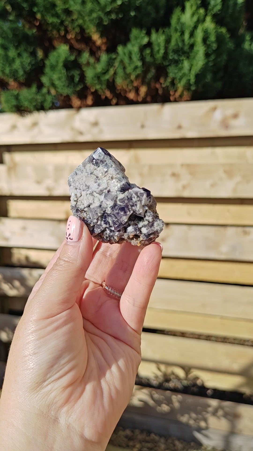 Yum Yum Pocket Fluorite Option M