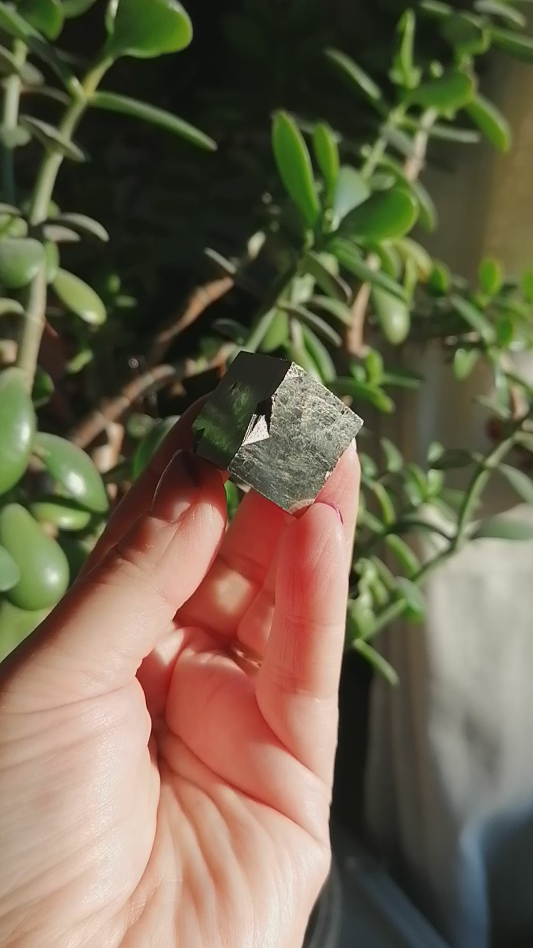 pyrite cube from spain