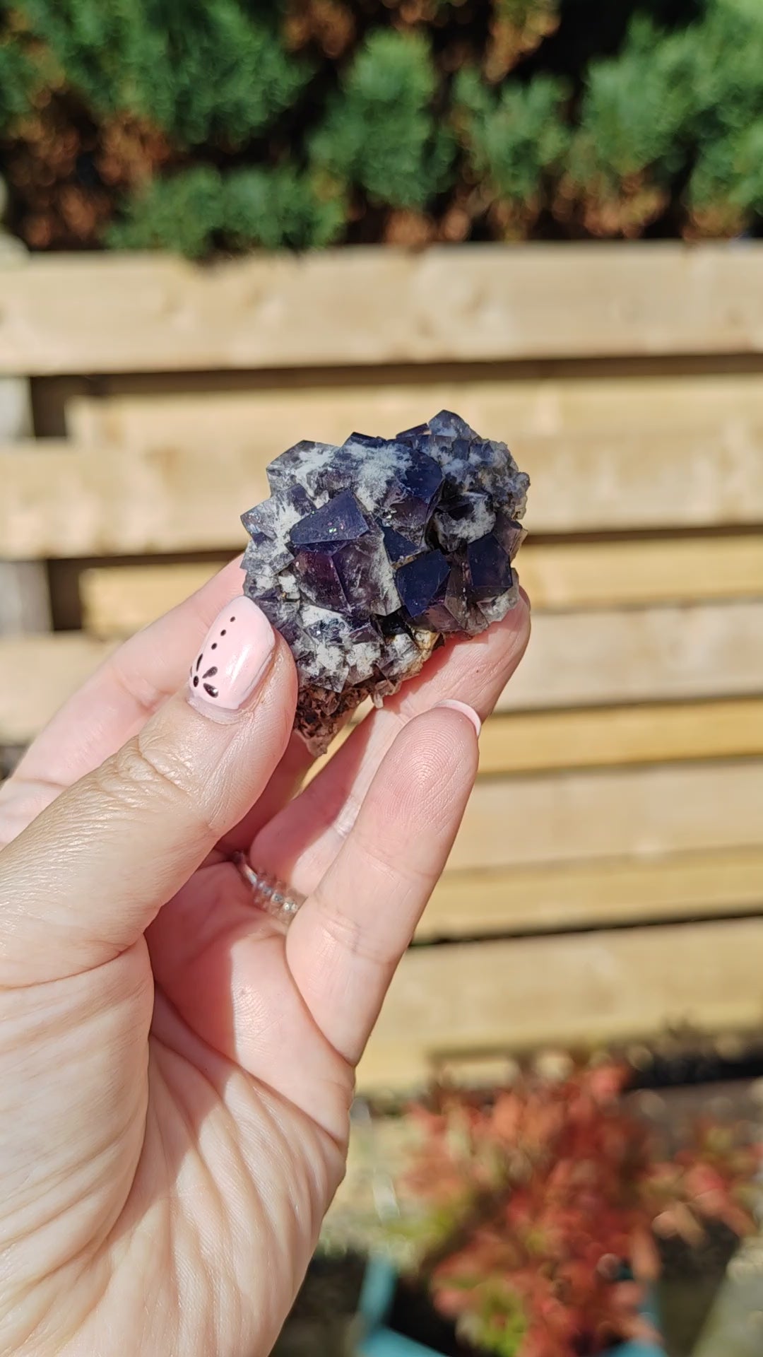 Yum Yum Pocket Fluorite UK Option C