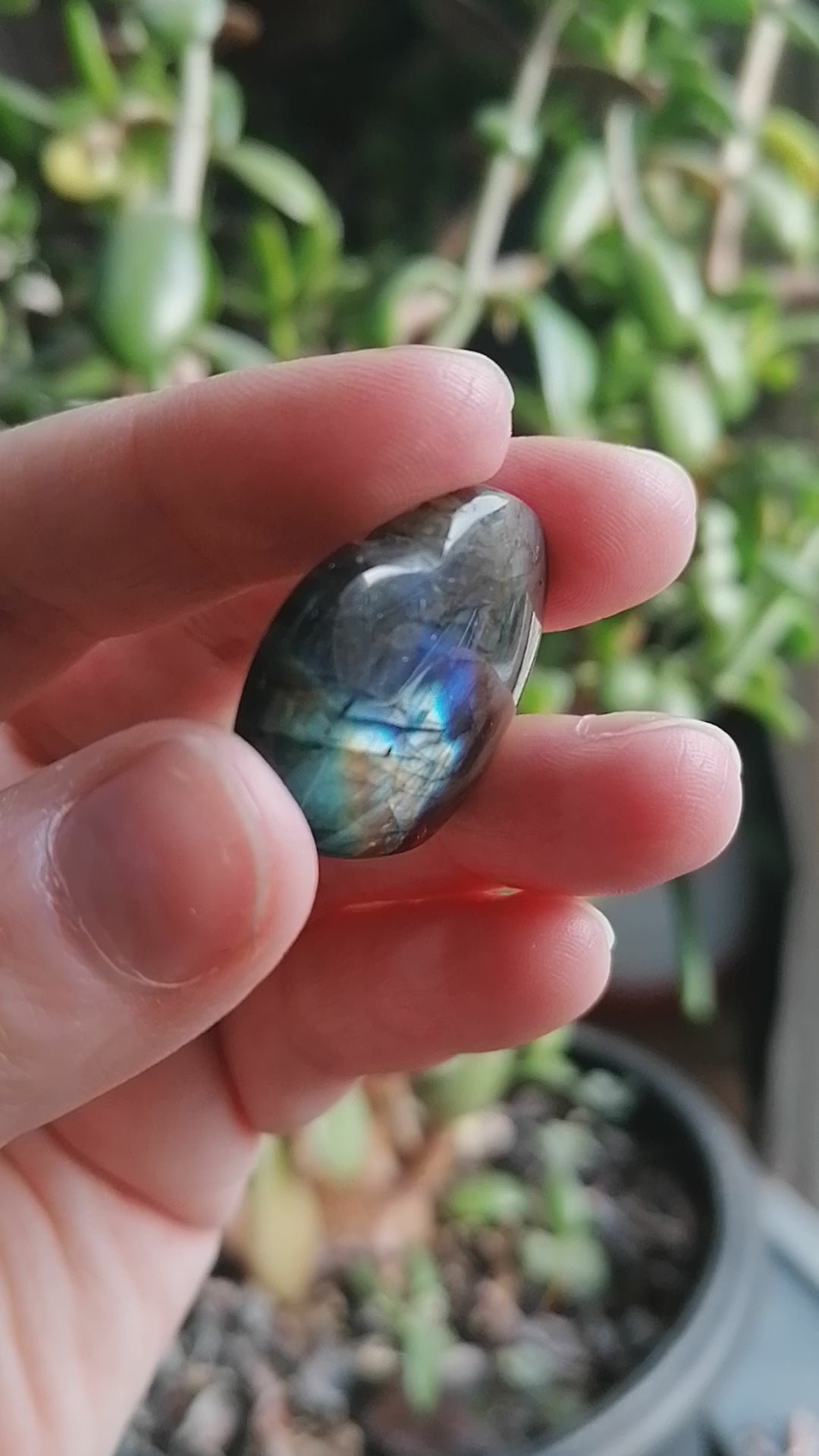 labradorite crystal heart with dark blue and yellow flash