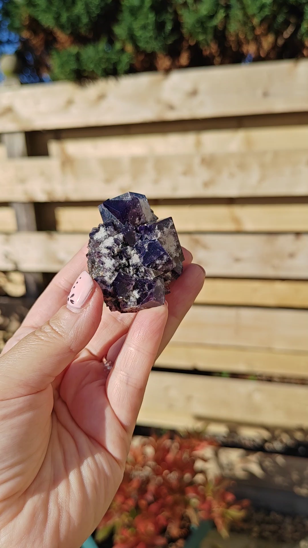 Yum Yum Pocket Fluorite Option D
