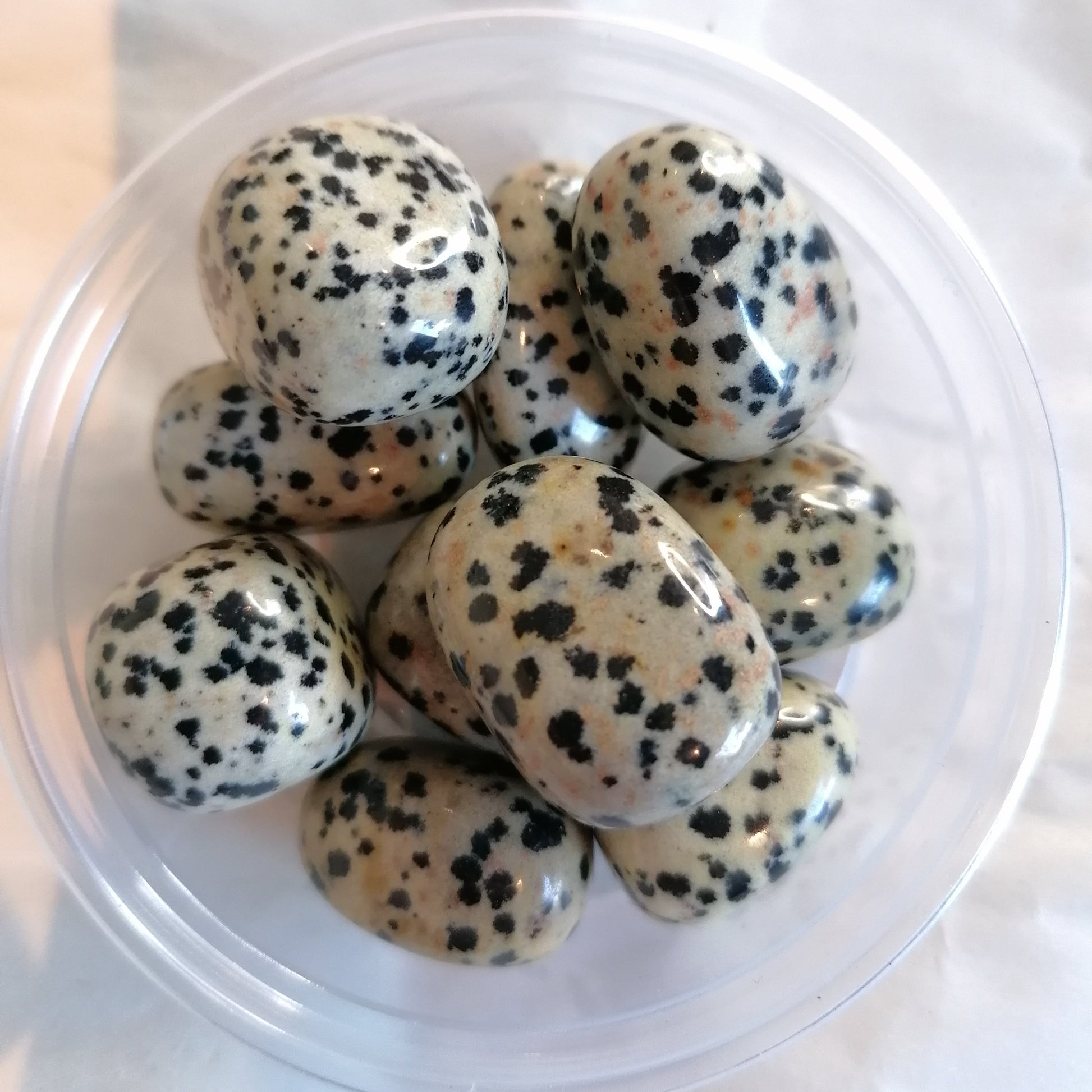 a small dish of white with black dot dalmation jasper crystals