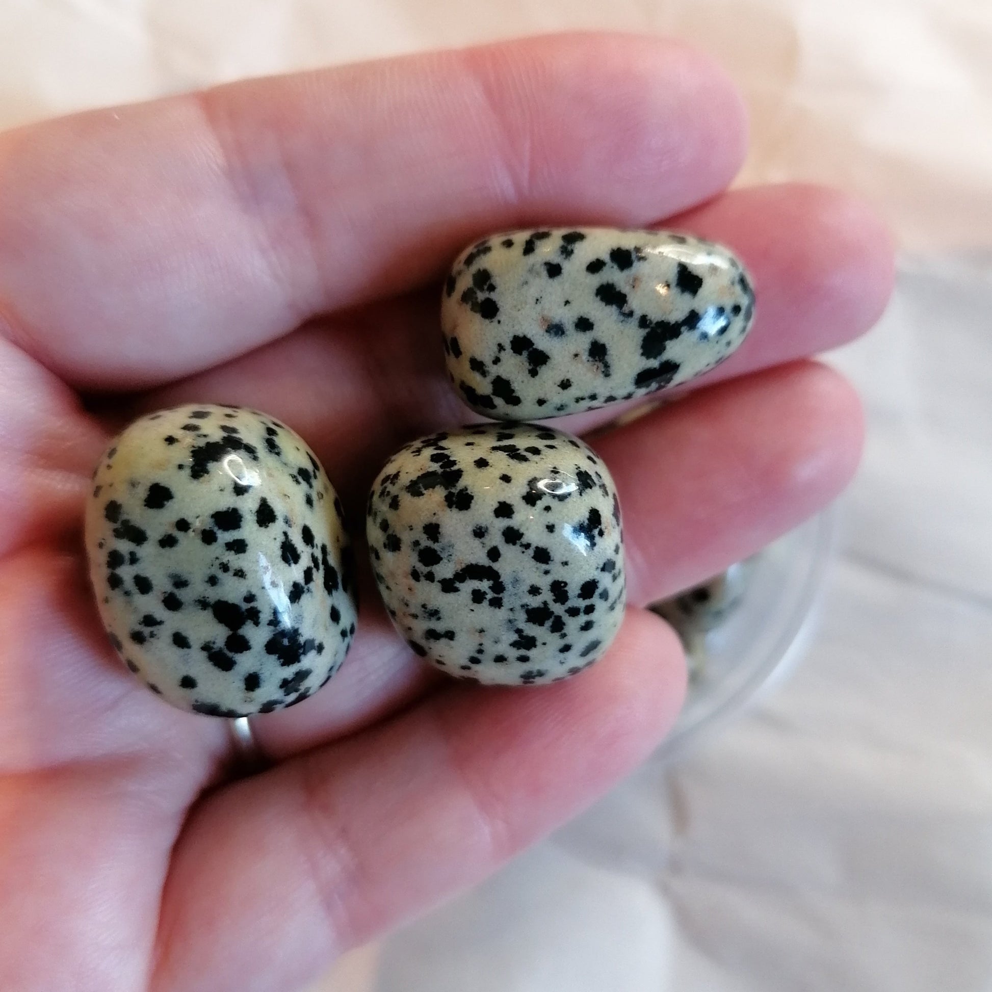 three white with black dot dalmation jasper crystals