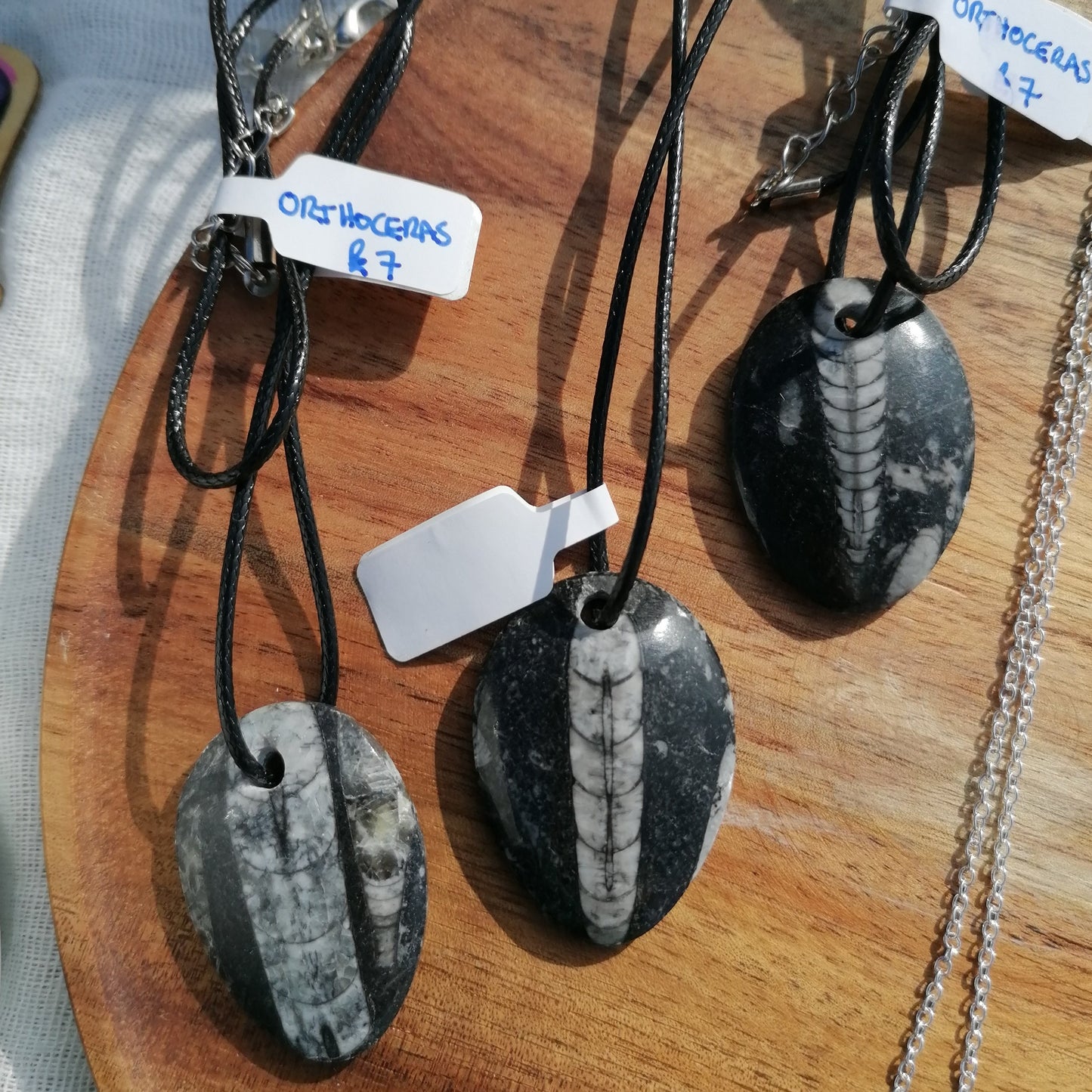 black with white fossil Orthoceras Fossil Necklace