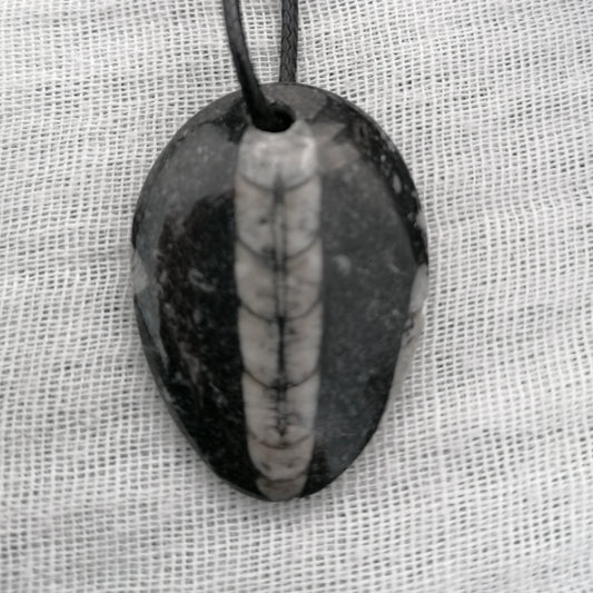 black with white fossil Orthoceras Fossil Necklace